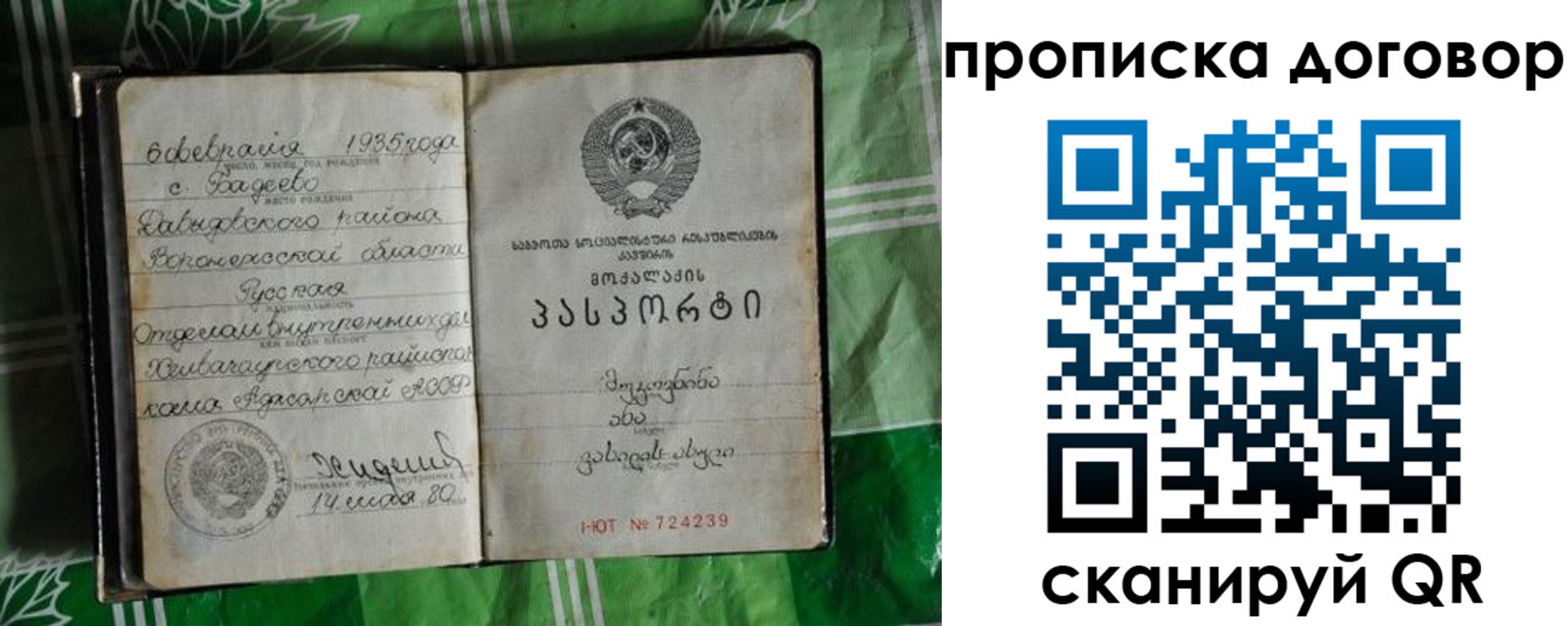 прописка в Мурманской области